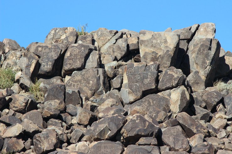 Saguaro National Park - 44