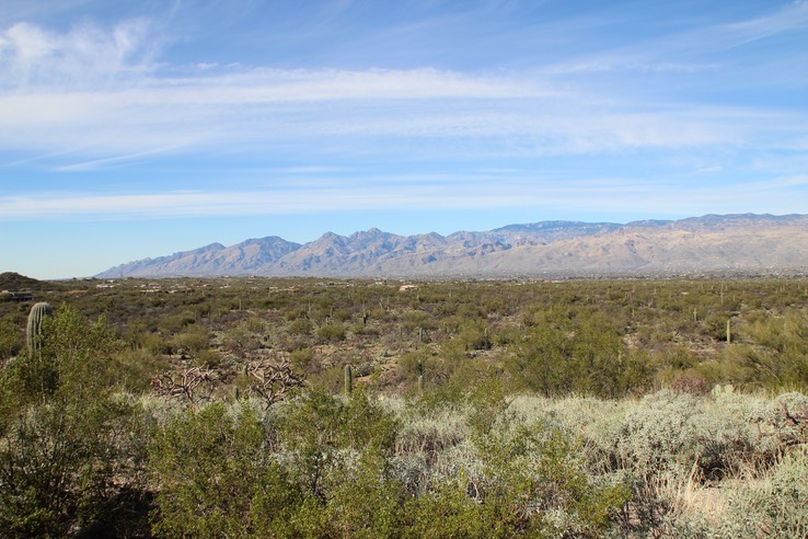 Saguaro National Park - East - 36