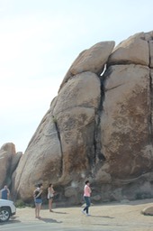 Joshua Tree NP Intersection Rock - 23