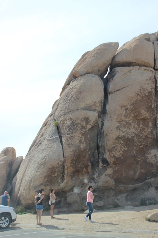 Joshua Tree NP Intersection Rock - 23