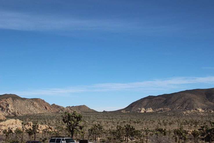 Joshua Tree National Park - 80