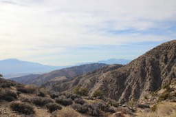 Joshua Tree National Park - 88