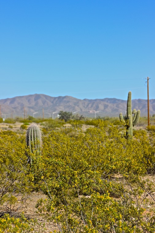 Mountain Views Between Apache Junction and Florence AZ - 22 | SNOWBIRD ...