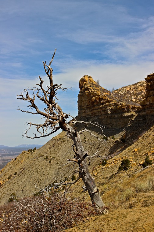 Mesa Verde - 015