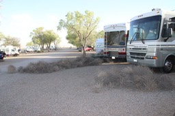 TumbleWeeds in Albuquerque - 7