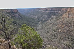 Mesa Verde - 073