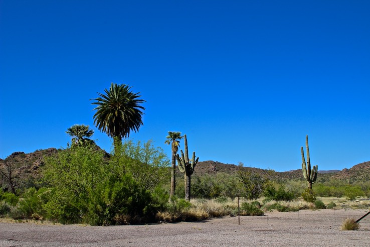 Mountain Views Between Apache Junction and Florence AZ - 10