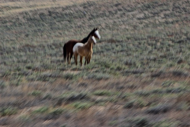 Road in CO to Mesa Verde - 09