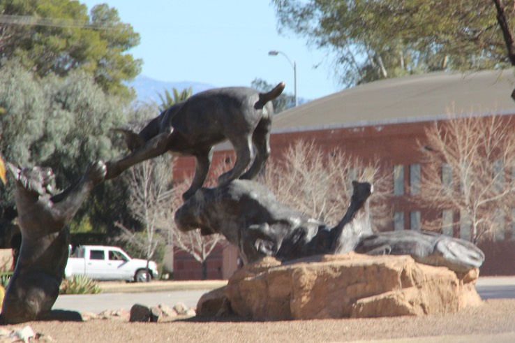 University of Arizona Campus and stadium - 20